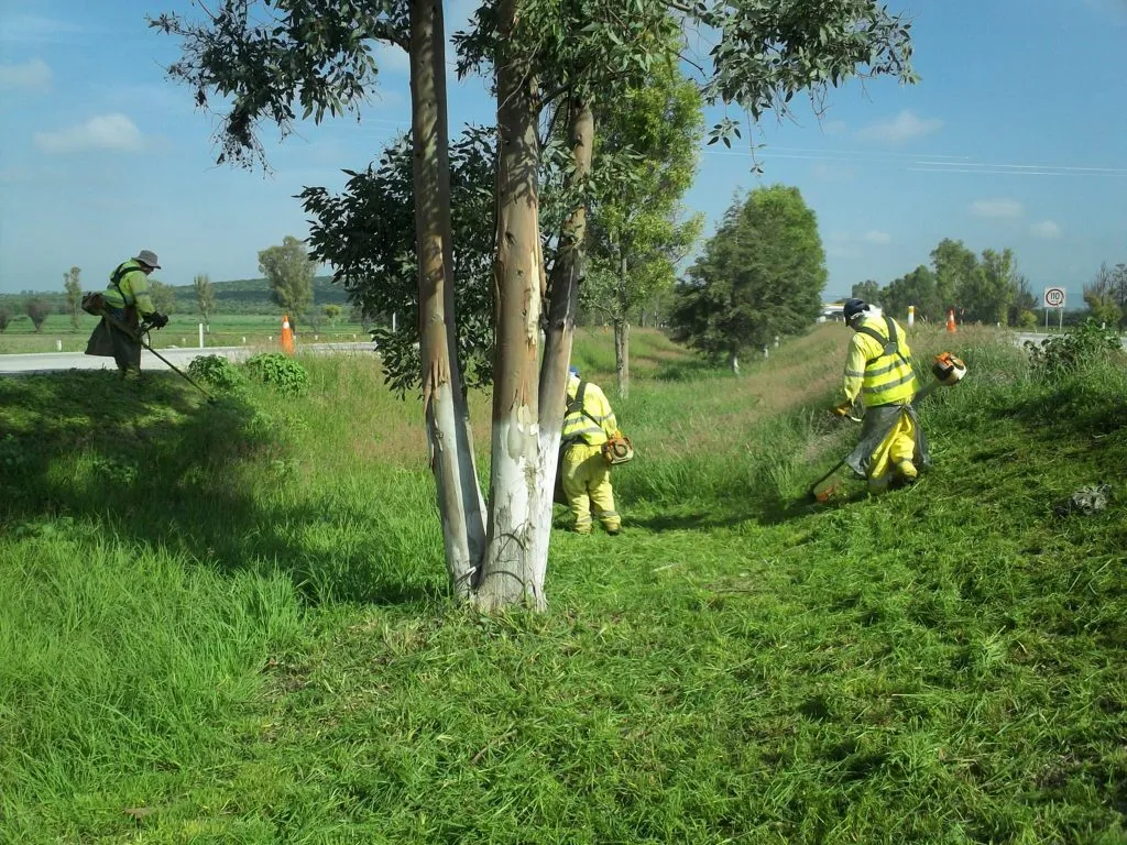 Técnicos MACOVI trabajando en mejoramiento de area verde